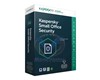 Kaspersky Small Office Security 7.0-1 Serv+10 post KL45418BKFS-20MWCA